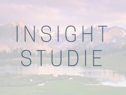 Insight study